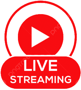 Live Feed Icon